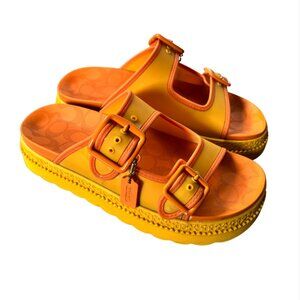 COACH Lainey Slip-on Double Buckle Sandal- Honeycomb color. Women’s Size 9B